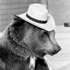 Meet your Posher, Mike